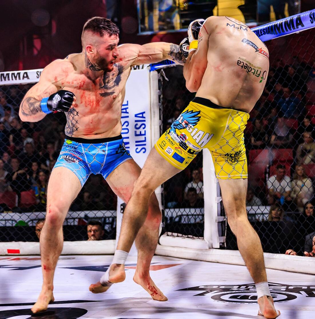 MMA Handschuhe L - Phantom Rot - Valor Serie