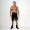 Trainings Box Shorts SILBER