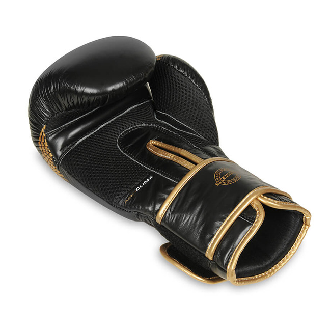 Boxhandschuhe 12oz - Aureos - Valor Serie