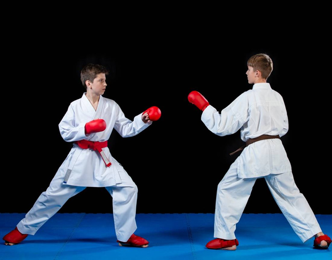 WKF Karate Faustschützer Rot S