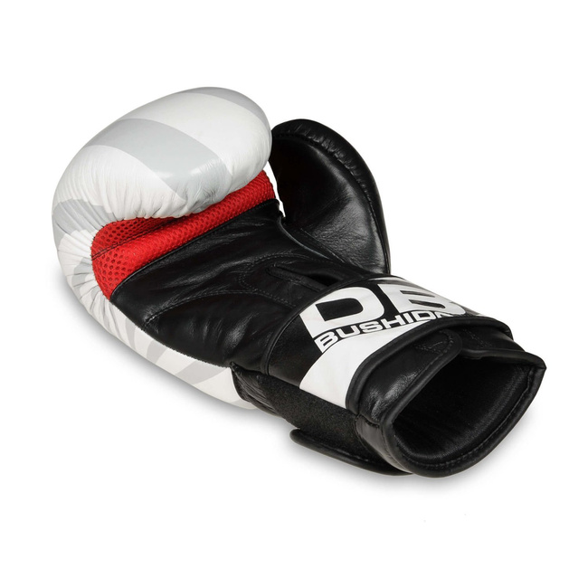 Boxhandschuhe 10oz - Japan - Valor Series