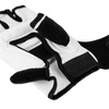 WTF Karate / Teakwando Handschuhe | DBX-T-1 M