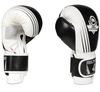 SPEZIALANGEBOT! BESCHREIBUNG LESEN! - BUSHIDO B-2v3A 10oz SPARING BOXING Handschuhe