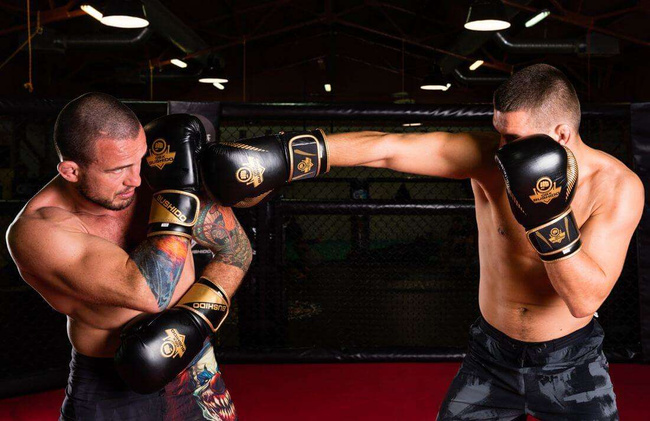 Boxhandschuhe 12oz - Aureos - Valor Serie