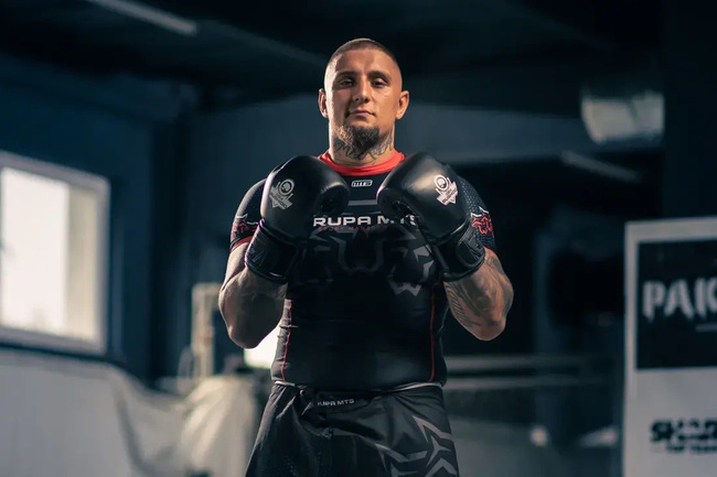 14oz Boxhandschuhe - ProFight - Legacy Serie