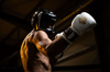 Boxhandschuhe 12oz - Spirit - Serie Valor