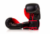 12oz Boxhandschuhe - Ninja - Legacy Serie