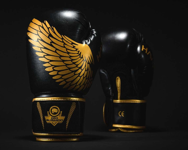 16oz Boxhandschuhe - Hawk - Origin Serie