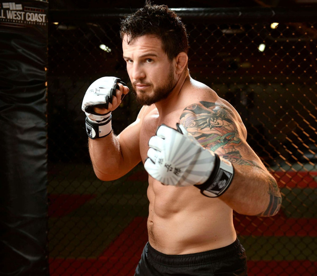 MMA Handschuhe M - Japan - Valor Serie