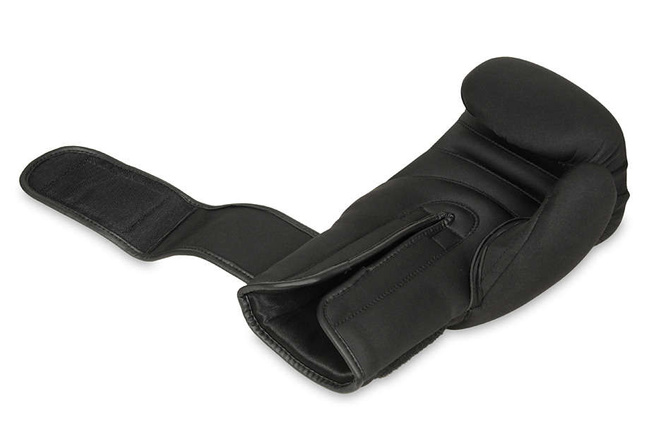Boxhandschuhe 8oz - EverClean - Serie Origin