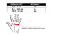 MMA Handschuhe XL - Japan - Valor Serie
