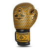 B-2v23 10 oz sparring boxhandschuhe
