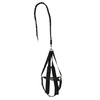 P1 - DBX Strength Harness - Geschwindigkeitswiderstand - Trainingsgurt - Wrestling Expander