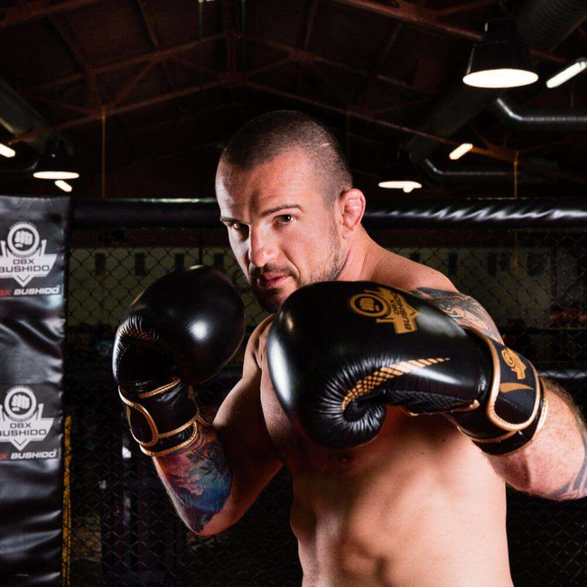 Boxhandschuhe 12oz - Aureos - Valor Serie
