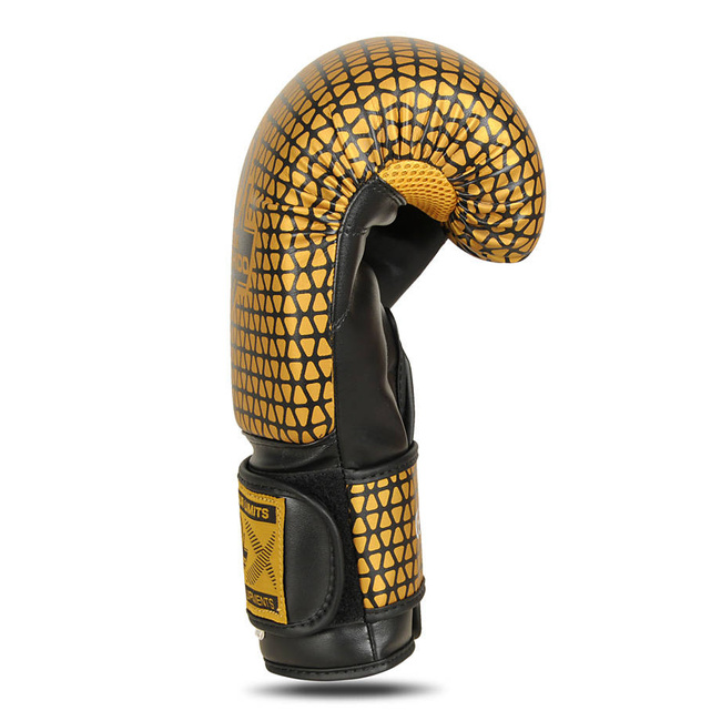B-2v23 10 oz sparring boxhandschuhe