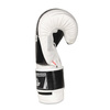 SPEZIALANGEBOT! BESCHREIBUNG LESEN! - BUSHIDO B-2v3A 10oz SPARING BOXING Handschuhe