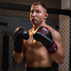 12oz Boxhandschuhe - Ninja - Legacy Serie