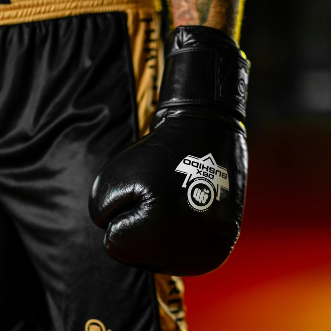 14oz Boxhandschuhe - ProFight - Legacy Serie