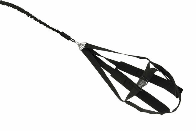 P1 - DBX Strength Harness - Geschwindigkeitswiderstand - Trainingsgurt - Wrestling Expander