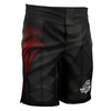 Rashguard + Shorts Trainingsset