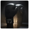 10oz Boxhandschuhe - Black Master - Valor Series