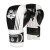 SPEZIALANGEBOT! BESCHREIBUNG LESEN! - BUSHIDO B-2v3A 10oz SPARING BOXING Handschuhe