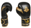 Boxhandschuhe 12oz - Aureos - Valor Serie
