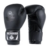 Boxhandschuhe aus Naturleder 14 oz Modell DL-3