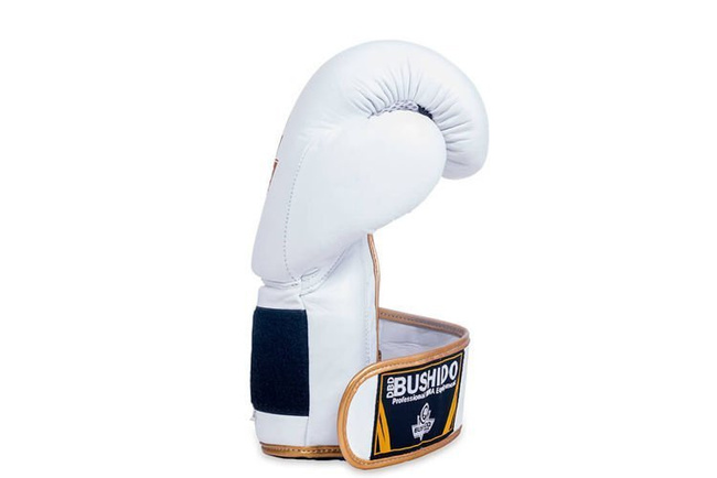Boxhandschuhe 12oz - Spirit - Serie Valor