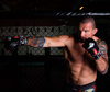 MMA Handschuhe XL - Ninja - Legacy Serie