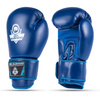 Boxhandschuhe 10oz - Tournament Blau