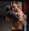 Boxhandschuhe 14oz - TAVER Black - Origin Serie