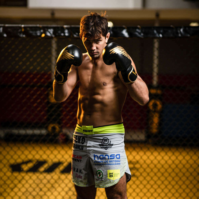 8oz Boxhandschuhe - Hawk - Origin Serie